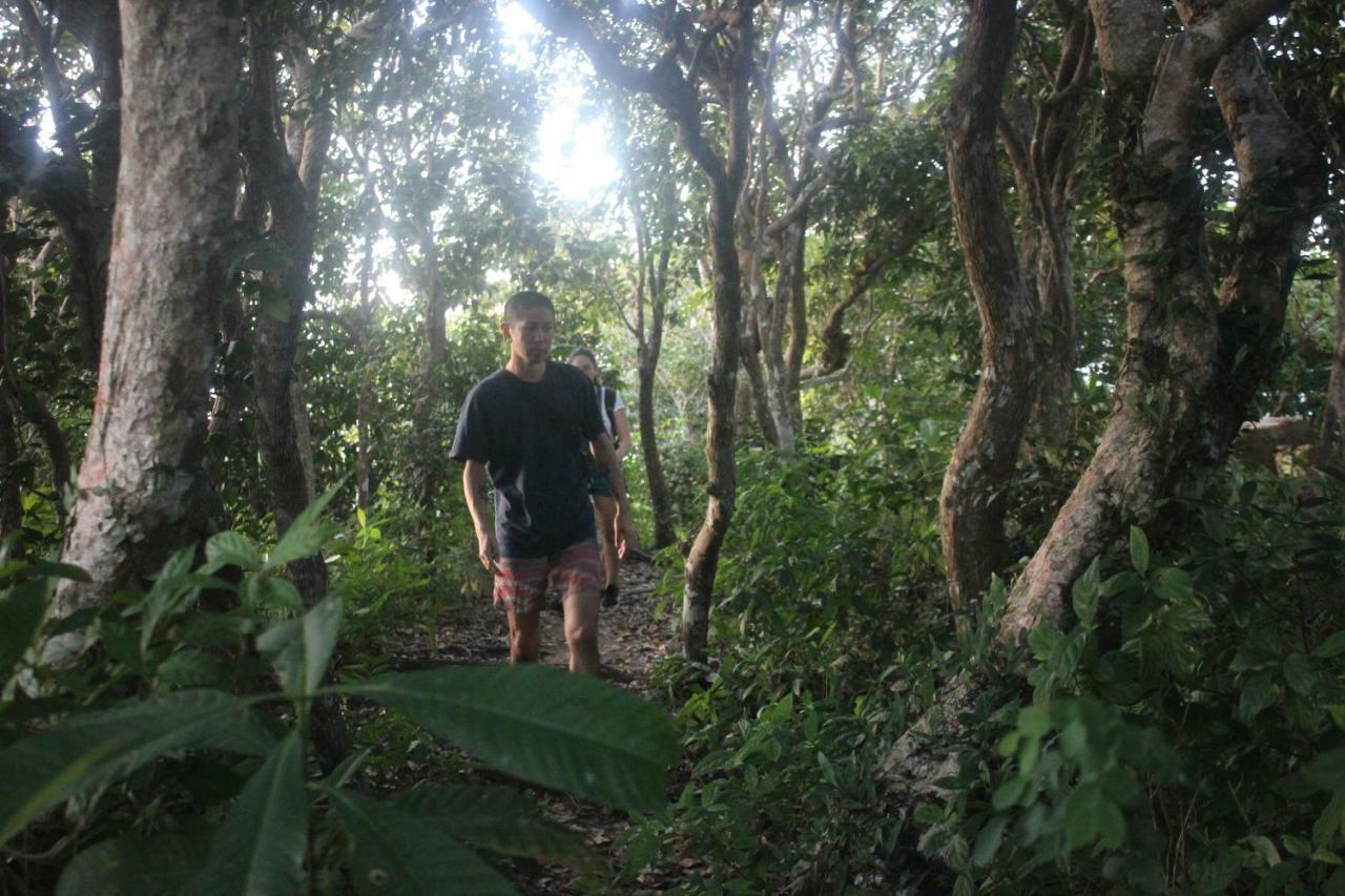Black Wood Hostel เกาะเต่า ภายนอก รูปภาพ